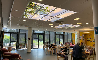 Modules de dalles décoratives en trompe l'oeil